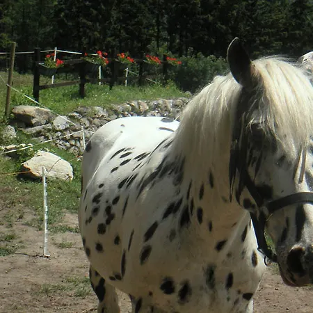 Bed & Breakfast Domaine De La Safraniere - D'hote Saint-Leger (Savoie)